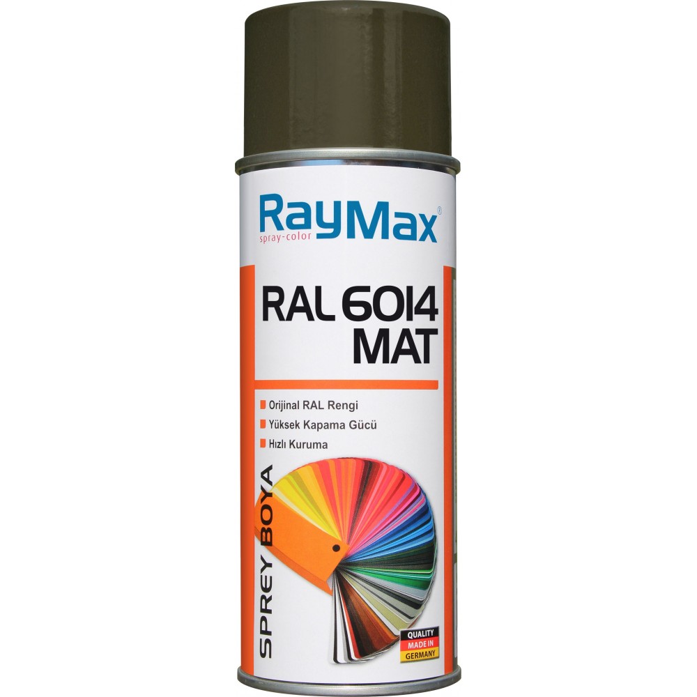 RAYMAX 6014 MAT SPREY BOYA